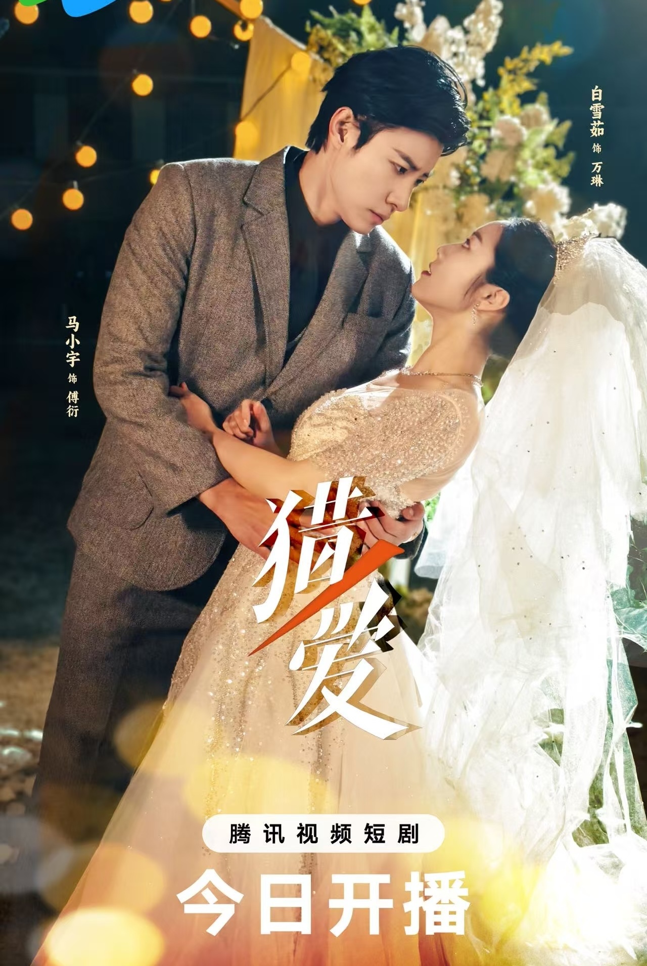 Poster phim Săn Tình