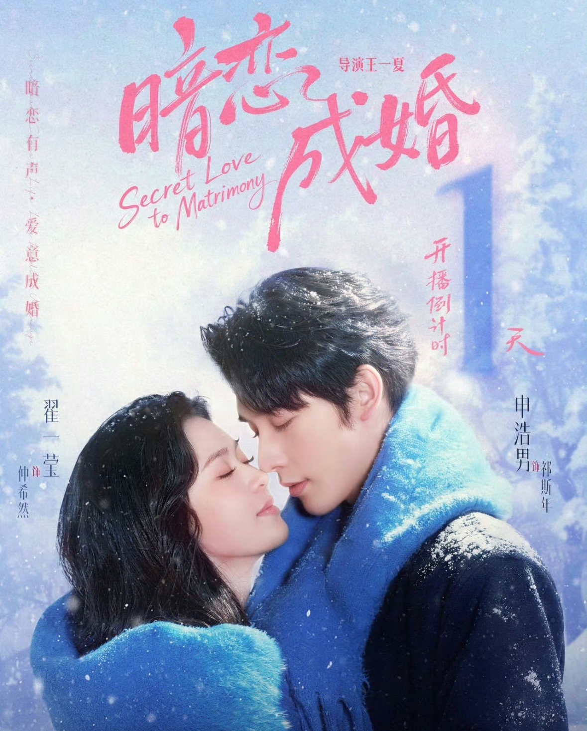 Poster phim Cưới Người Thầm Yêu