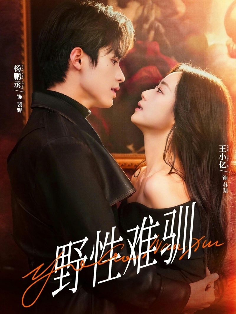 Poster phim Thuần Dã 3